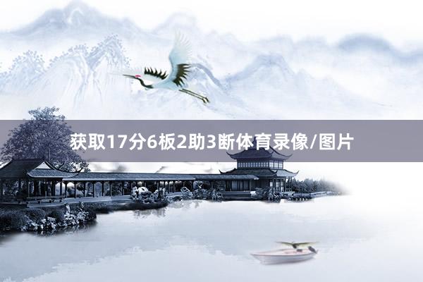 获取17分6板2助3断体育录像/图片