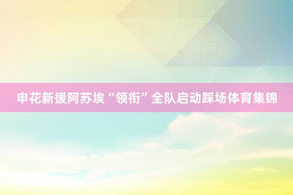 申花新援阿苏埃“领衔”全队启动踩场体育集锦