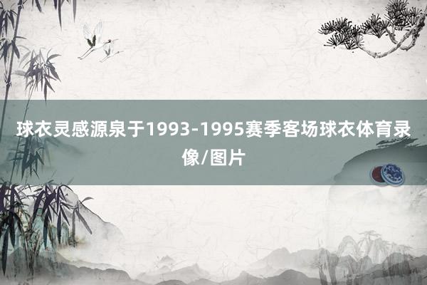球衣灵感源泉于1993-1995赛季客场球衣体育录像/图片
