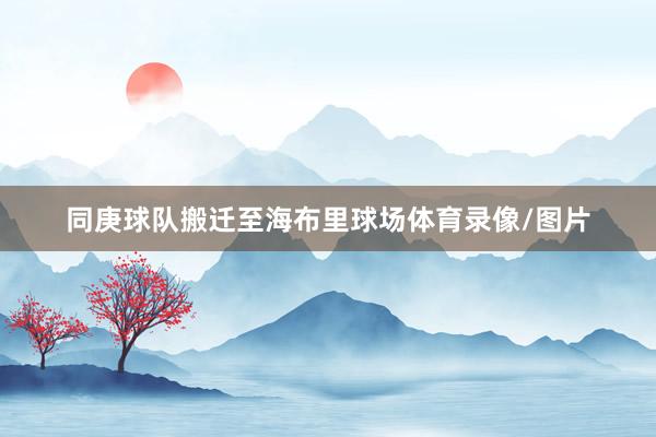 同庚球队搬迁至海布里球场体育录像/图片