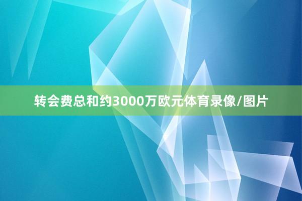 转会费总和约3000万欧元体育录像/图片
