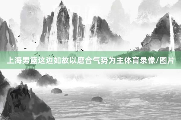 上海男篮这边如故以磨合气势为主体育录像/图片