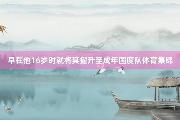 早在他16岁时就将其擢升至成年国度队体育集锦