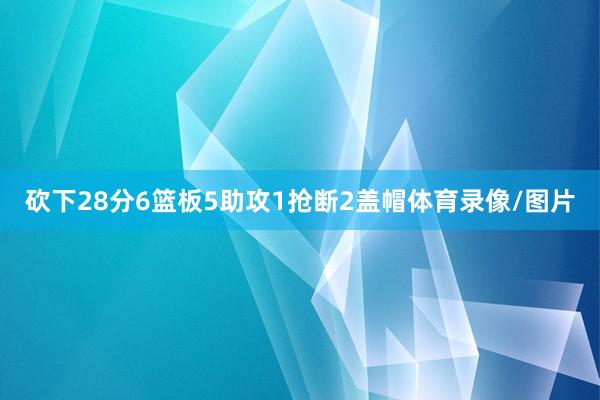 砍下28分6篮板5助攻1抢断2盖帽体育录像/图片