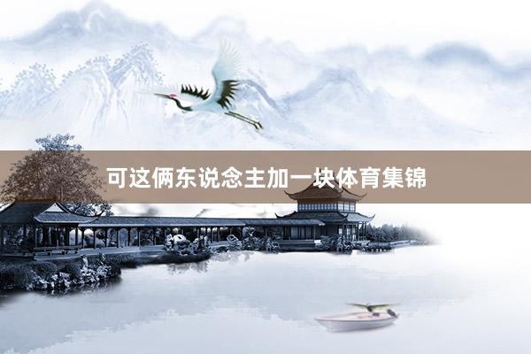 可这俩东说念主加一块体育集锦