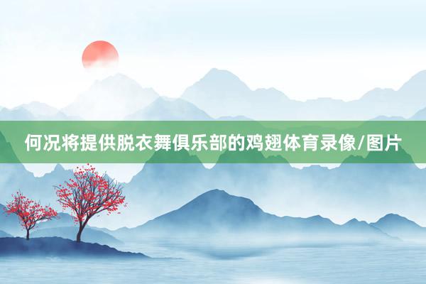 何况将提供脱衣舞俱乐部的鸡翅体育录像/图片