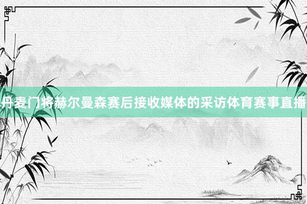 丹麦门将赫尔曼森赛后接收媒体的采访体育赛事直播