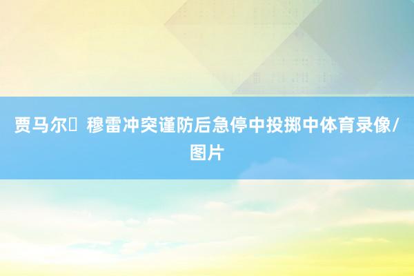 贾马尔・穆雷冲突谨防后急停中投掷中体育录像/图片