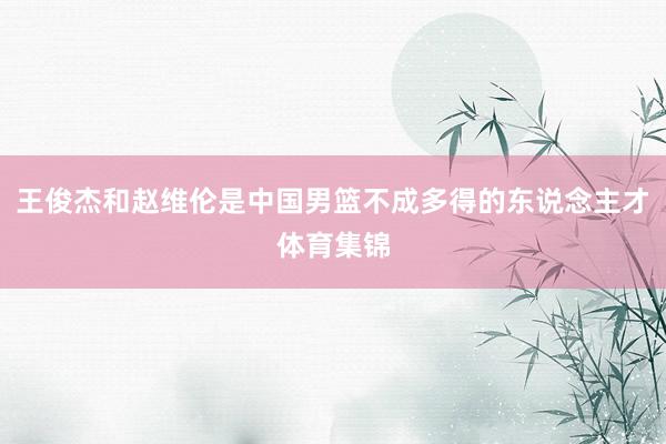 王俊杰和赵维伦是中国男篮不成多得的东说念主才体育集锦