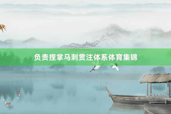 负责捏掌马刺贯注体系体育集锦