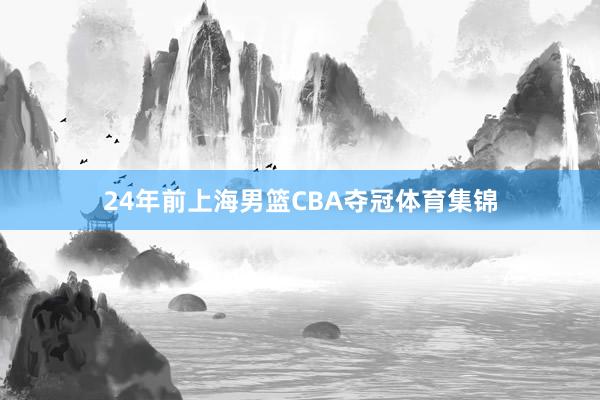24年前上海男篮CBA夺冠体育集锦