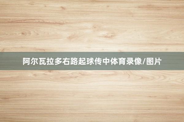 阿尔瓦拉多右路起球传中体育录像/图片